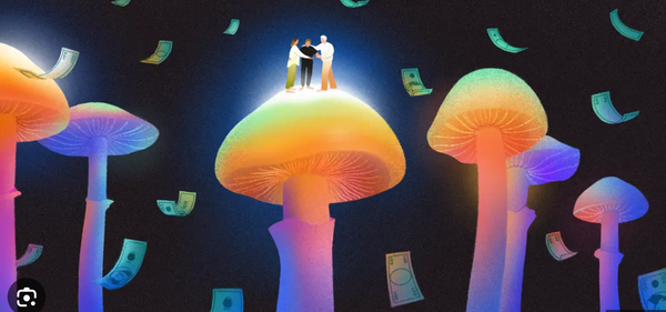 Psychedelic Renaissance: Amanita Mushrooms and the Shifting Legal Paradigm