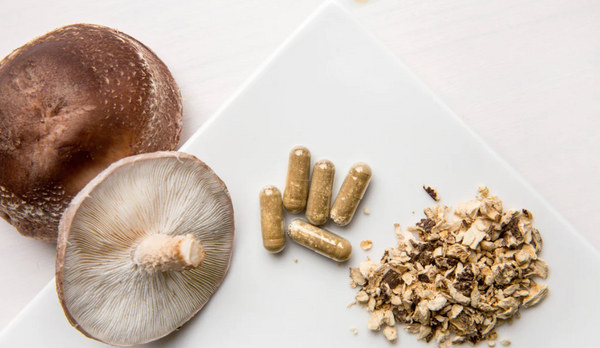Mushroom Power: Navigating the World of High-Quality Extracts and Formulations in Supplements