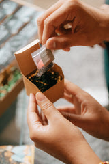 'Tis the Season Collection 2025