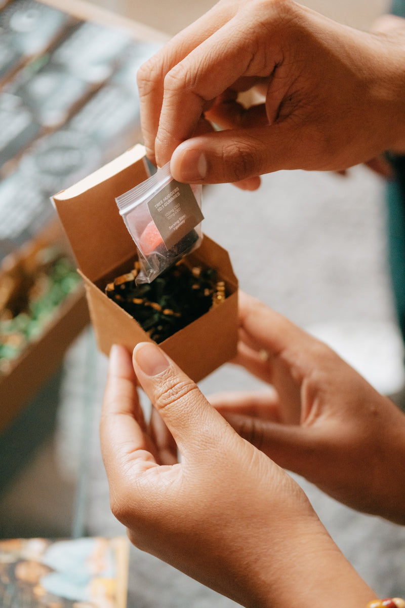 'Tis the Season Collection 2025