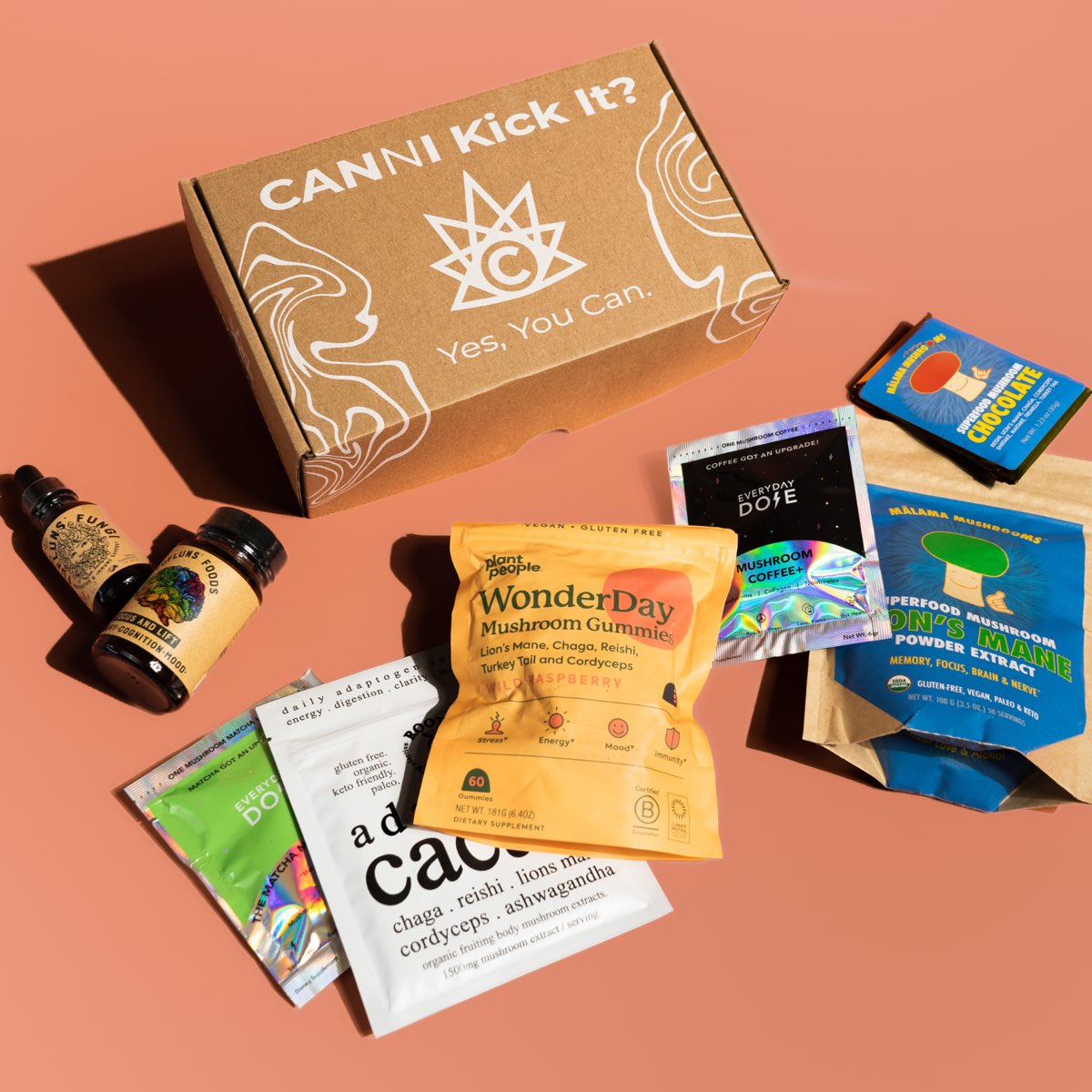 Canni mushroom subscription box with coffee, gummies, and functional mushroom products